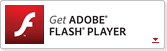 Get ADOBE FLASH PLAYER