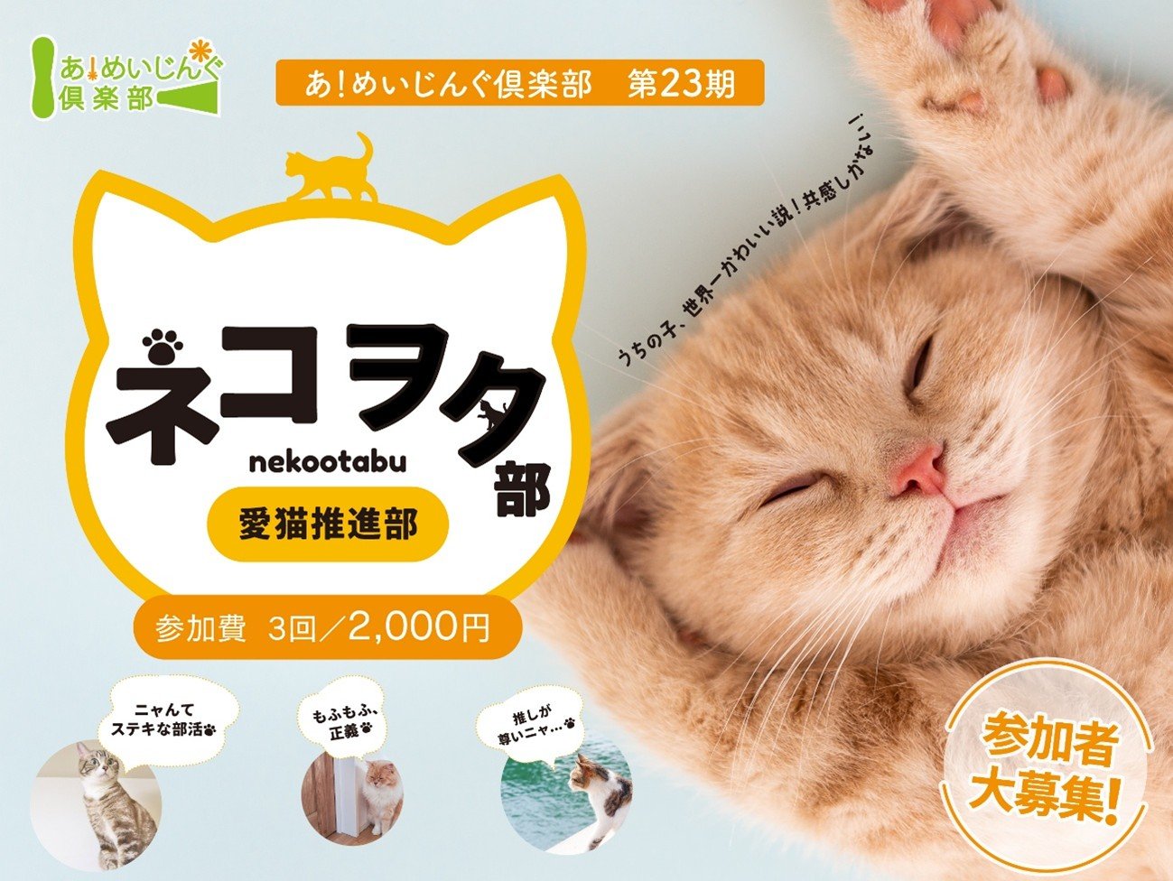 画像1.jpg