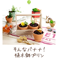 そんなバナナ！植木鉢プリン