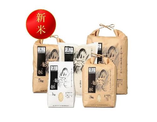 2.龍の瞳.jpg