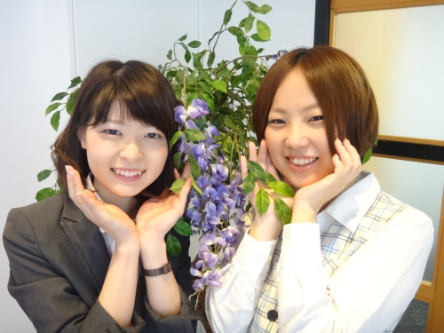 ニュースリリース 明治産業
